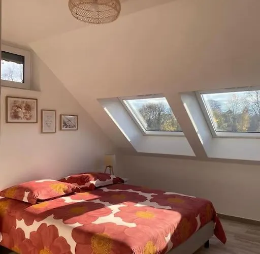 Dans Grange Renovee Lejlighed Strasbourg