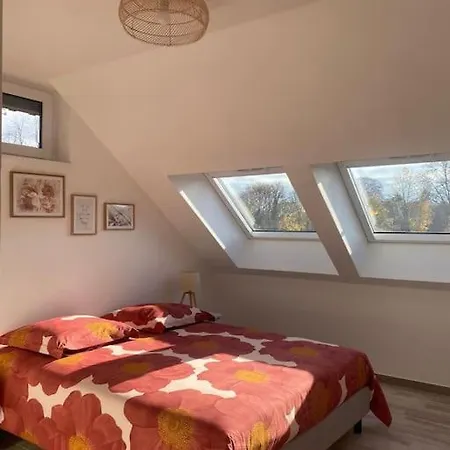 Dans Grange Renovee Апартаменты Страсбург