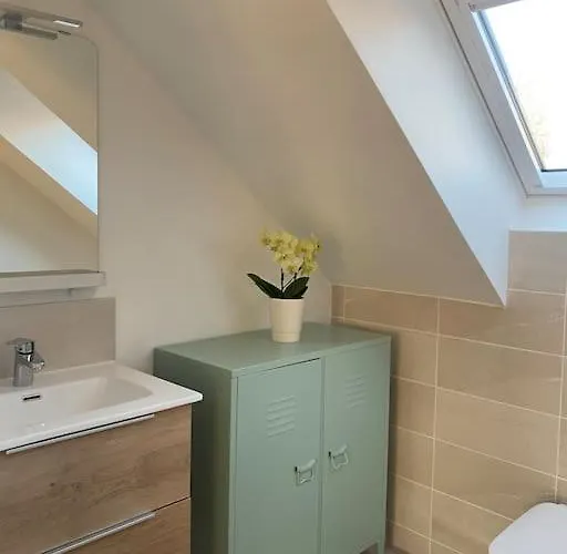 Daire Dans Grange Renovee Strazburg